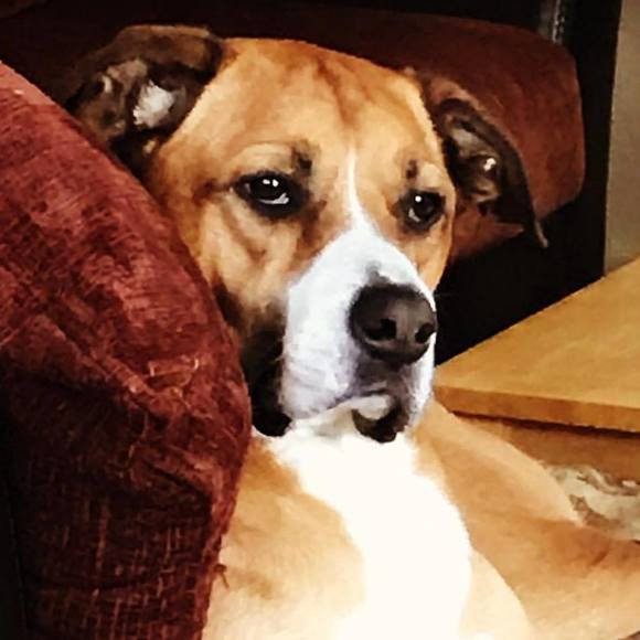 Meet your Posher, Kerry - Picture 1 of 1